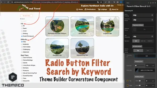 Cornerstone Custom Post Type Filter Radio Button and Search Keyword